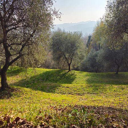 B&B Ca'Baracca Bellavista バッサーノ・デル・グラッパ エクステリア 写真