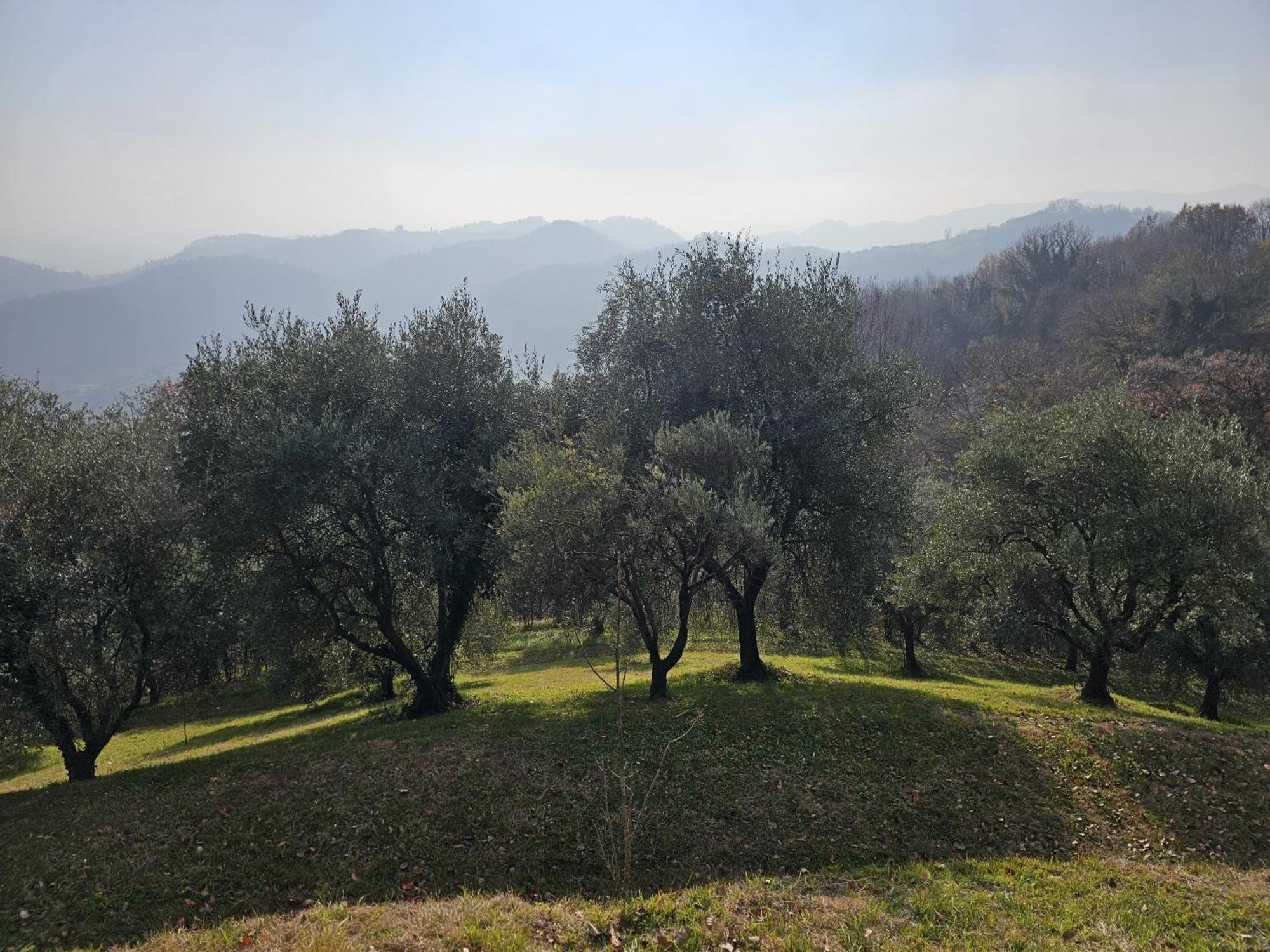 B&B Ca'Baracca Bellavista バッサーノ・デル・グラッパ エクステリア 写真